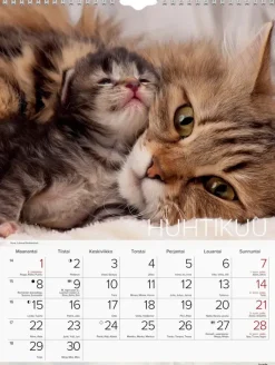 Discount Seinakalenteri 2024 Kissat Kalenterit