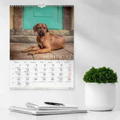 Outlet Seinakalenteri 2024 Koirat Kalenterit