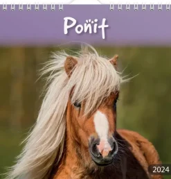 Discount Seinakalenteri 2024 Ponit Kalenterit
