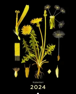 Discount Ebba Masalin Seinakalenteri 2024 Kalenterit