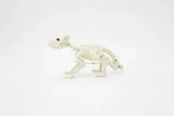 Clearance Halloween-Poytakoriste Hiiren Luuranko 38 Cm Sesonkijuhlatarvikkeet