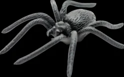 New Hamahakki 8Cm Sesonkijuhlatarvikkeet