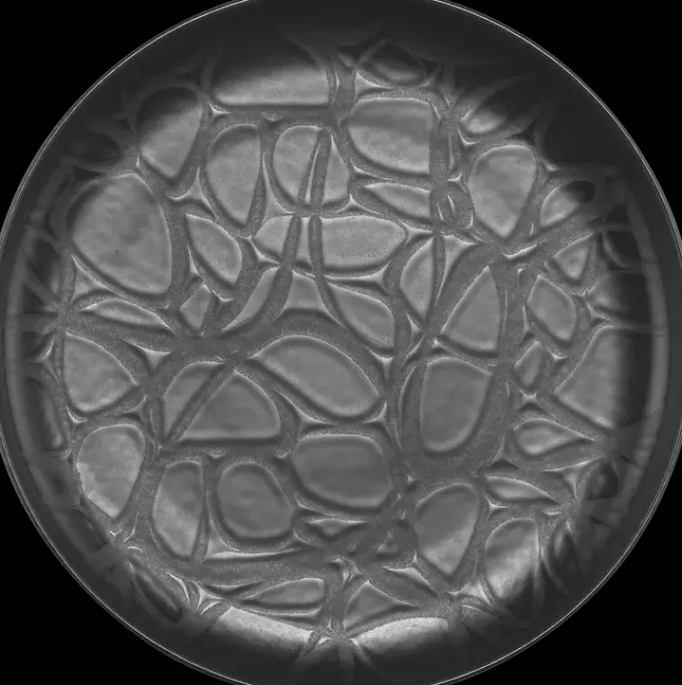 Best Lautanen Capri 27 Cm Astiat