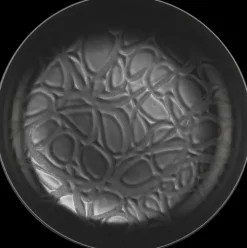 Online Syva Lautanen Capri 20 Cm Astiat