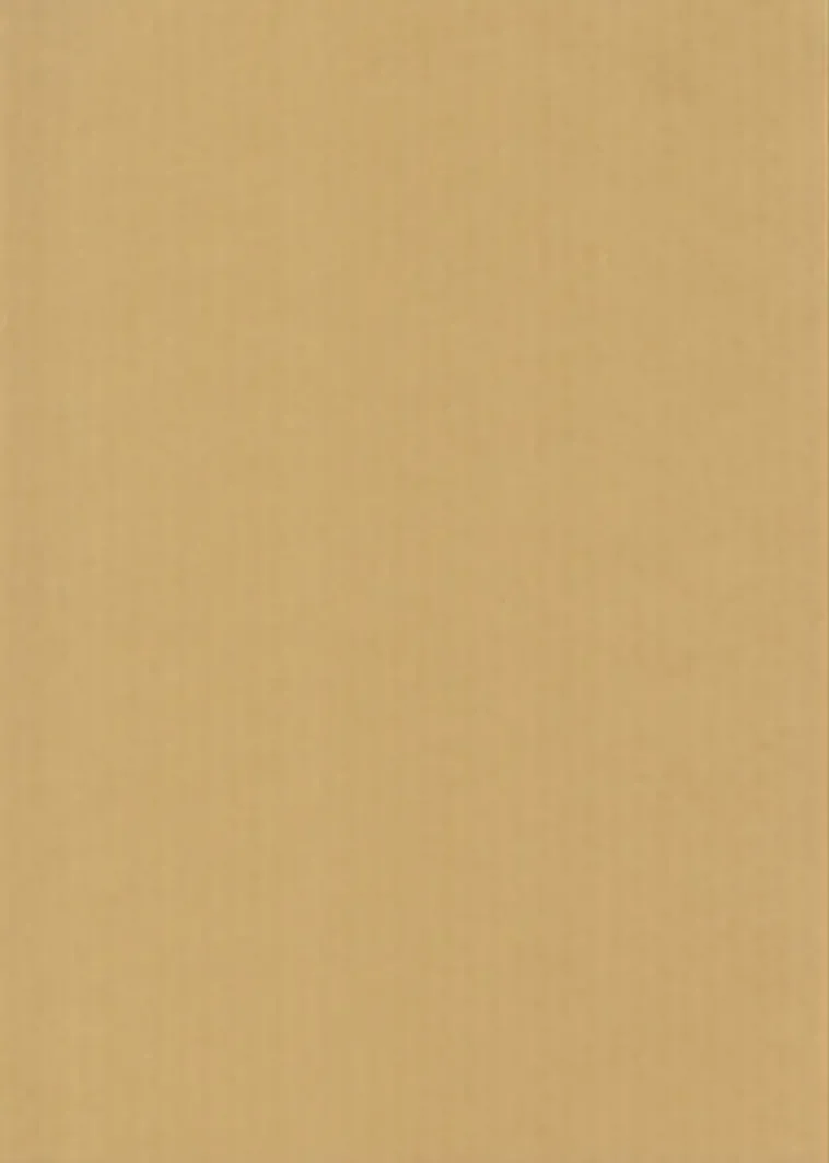 Karto Askartelutarvikkeet-nki A4 220Gsm Beige 5Ark/Pss