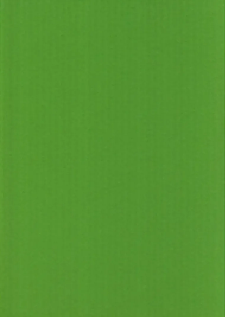 Karto Askartelutarvikkeet-nki A4 220Gsm Kirkkaan Vihrea 5Ark/Pss