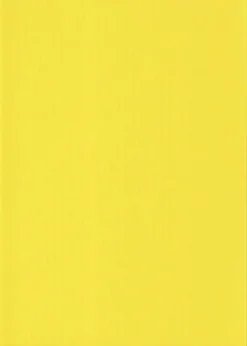 Karto Askartelutarvikkeet-nki Keltainen A4 220Gsm 5Ark/Pss