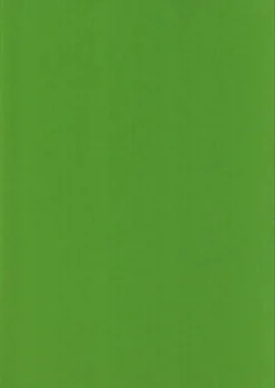 Discount nki Kirkkaan Vihrea 50X70Cm 220Gsm 5Ark/Pss Askartelutarvikkeet