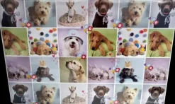 Sale Kirjoitusalusta 40 X 60 Cm Toimistotarvikkeet