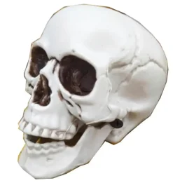 New Paakallo 13Cm Sesonkijuhlatarvikkeet