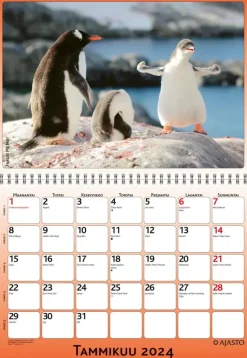 Discount Seinakalenteri Forget-Me-Not-Wall Kalenterit