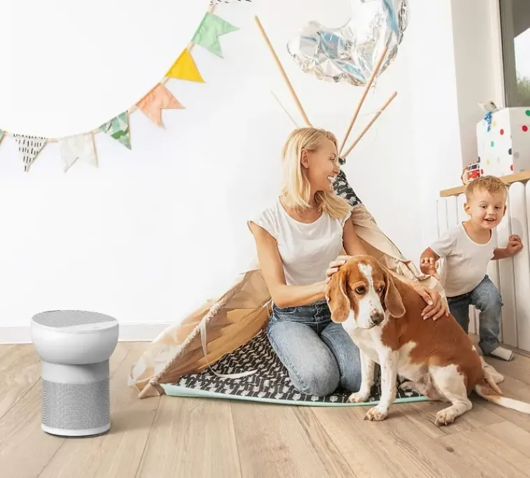 TCL Ilmastointi Ja Huoneilma-Breeva A2Ww Ilmanpuhdistin