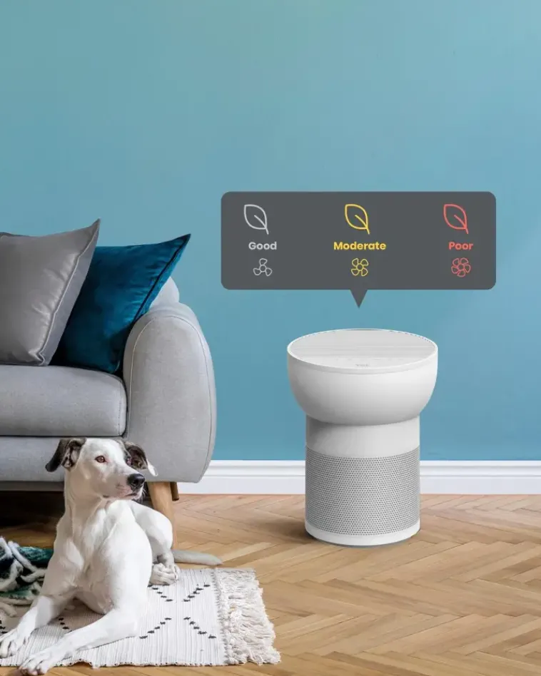 TCL Ilmastointi Ja Huoneilma-Breeva A2Ww Ilmanpuhdistin